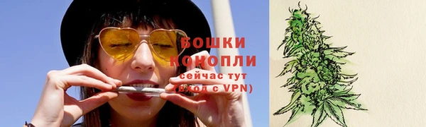 соль ск Волосово
