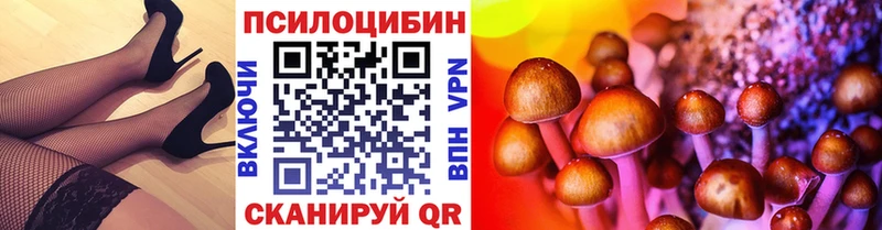 mega   Володарск  Галлюциногенные грибы Magic Shrooms 